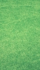 📱綺麗に刈り取られた芝生 iPhone 14 壁紙・待ち受け