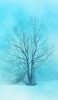 📱青い冬 雪と枯れ木 iPhone 14 Pro 壁紙・待ち受け