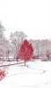 📱冬景色と赤い木 iPhone 14 Pro 壁紙・待ち受け