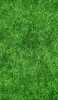 📱綺麗な緑の芝 iPhone 14 Pro 壁紙・待ち受け