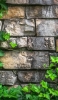 📱石垣と緑の葉 iPhone 14 Pro 壁紙・待ち受け