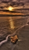 📱夕日の綺麗な波打ち際 iPhone 14 Pro 壁紙・待ち受け