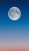 📱綺麗な青とオレンジのグラデーションの空 兎 満月 iPhone 14 Pro Max 壁紙・待ち受け