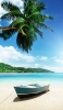 📱浜辺にある水色のボートと椰子の木 iPhone 14 Plus 壁紙・待ち受け