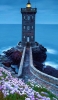 📱海を照らすレンガの灯台 紫の花畑 iPhone 14 Plus 壁紙・待ち受け