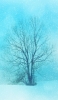 📱枯れ木と雪 iPhone 14 Plus 壁紙・待ち受け