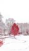📱綺麗な冬の公園と赤い木 iPhone 14 Plus 壁紙・待ち受け