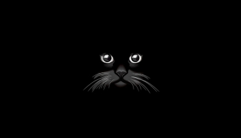 📱シンプル 黒猫の顔 iPhone 14 Pro 壁紙・待ち受け