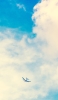 📱綺麗な夏空と飛行機 Google Pixel 6a 壁紙・待ち受け