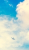 📱綺麗な夏空と飛行機 iPhone 14 Pro Max 壁紙・待ち受け