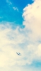 📱綺麗な夏空と飛行機 Google Pixel 7 Pro 壁紙・待ち受け