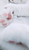 📱寝ている白い猫の肉球 Google Pixel 6a 壁紙・待ち受け