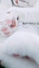 📱寝ている白い猫の肉球 iPhone 14 Pro 壁紙・待ち受け