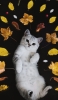 📱寝そべる猫と葉っぱ Galaxy A53 5G 壁紙・待ち受け