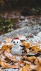 📱落ち葉と雪だるま 冬 Google Pixel 6a 壁紙・待ち受け