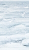 📱フィンランド ヘルシンキ 氷河 iPhone 14 Plus 壁紙・待ち受け