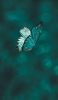 📱めちゃくちゃ綺麗な緑の蝶 Galaxy A53 5G 壁紙・待ち受け