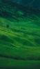 📱緑豊かな丘陵地帯 Google Pixel 7 Pro 壁紙・待ち受け