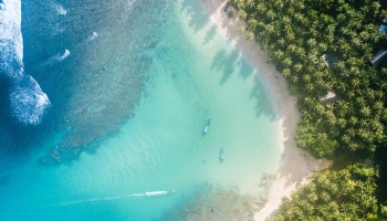 📱俯瞰視点 ハワイの海と森 iPhone 14 Pro 壁紙・待ち受け