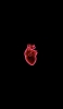 📱心臓 静脈 医学 解剖学 Google Pixel 6a 壁紙・待ち受け