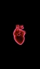 📱心臓 静脈 医学 解剖学 iPhone 14 Plus 壁紙・待ち受け