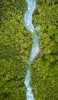 📱俯瞰視点 ジャングル 木々の流れる川 Google Pixel 6a 壁紙・待ち受け
