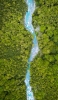 📱俯瞰視点 ジャングル 木々の流れる川 iPhone 14 Pro 壁紙・待ち受け