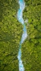 📱俯瞰視点 ジャングル 木々の流れる川 iPhone 14 Plus 壁紙・待ち受け