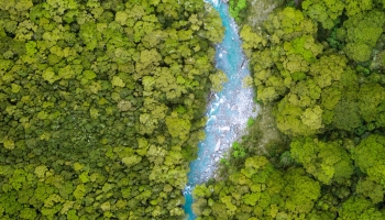 📱俯瞰視点 ジャングル 木々の流れる川 Google Pixel 7 Pro 壁紙・待ち受け