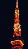 📱夜 ライトアップされた東京タワー iPhone 14 Plus 壁紙・待ち受け