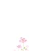 📱水彩で描かれた綺麗な花のイラスト Google Pixel 7 Pro 壁紙・待ち受け