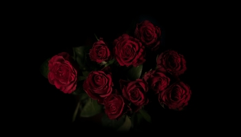 📱薔薇 花束 綺麗 iPhone 14 壁紙・待ち受け