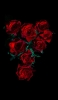 📱綺麗な薔薇の花 高画質 Google Pixel 6a 壁紙・待ち受け