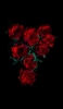 📱綺麗な薔薇の花 高画質 iPhone 14 Pro 壁紙・待ち受け