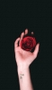 📱薔薇を持つ右手 Galaxy A53 5G 壁紙・待ち受け