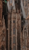 📱スペイン バルセロナの教会 サグラダ・ファミリア Google Pixel 7 Pro 壁紙・待ち受け