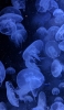 📱深海で光るクラゲ Redmi Note 11 Pro 5G 壁紙・待ち受け