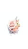 📱淡いピンクの花・薔薇 iPhone 14 Plus 壁紙・待ち受け