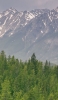 📱緑の森林 雪山 雲 Xperia 5 IV 壁紙・待ち受け