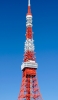 📱東京タワー Xperia 5 IV 壁紙・待ち受け