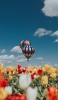 📱チューリップ畑とカラフルな気球と青空 Xperia 5 IV 壁紙・待ち受け