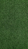 📱濃い緑の芝生 Xperia 5 IV 壁紙・待ち受け