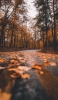 📱秋の森と落ち葉がある道路 iPhone 14 壁紙・待ち受け