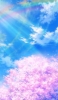 📱水色の綺麗な空と虹と桜のイラスト iPhone 14 Pro 壁紙・待ち受け