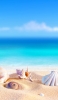📱砂浜の綺麗な貝殻と青空 iPhone 14 壁紙・待ち受け