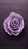 📱木の机 薄い紫の薔薇 Xperia 5 IV 壁紙・待ち受け