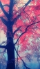 📱幻想的な紅葉の森 Xperia 5 IV 壁紙・待ち受け
