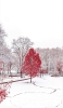 📱雪景色 赤い木 Xperia 5 IV 壁紙・待ち受け