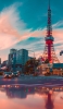 📱夕暮れ時の東京タワー Google Pixel 7 Pro 壁紙・待ち受け