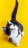 📱見上げる黒と白のブチ猫 Google Pixel 6a 壁紙・待ち受け
